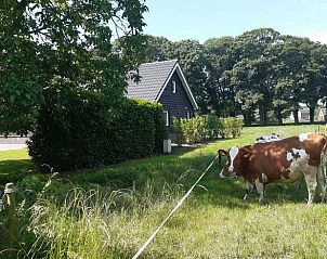 Unterkunft 531723 - Ferienhaus Salland - Huisje in Olst