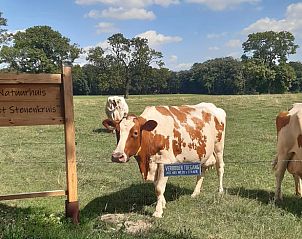 Unterkunft 531723 - Ferienhaus Salland - Huisje in Olst