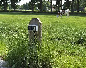 Unterkunft 531723 - Ferienhaus Salland - Huisje in Olst
