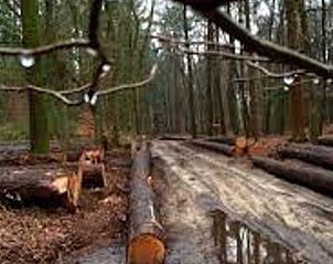 Unterkunft 532208 - Ferienhaus Salland - Vakantiehuisje in Hellendoorn