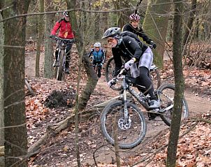 Unterkunft 532208 - Ferienhaus Salland - Vakantiehuisje in Hellendoorn