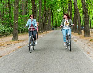 Fietsen in de groene omgeving van Cube la Mer in Hellendoorn, ideaal voor natuurliefhebbers.