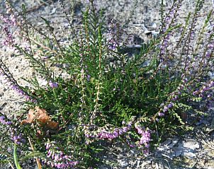 Verblijf 532224 - Vakantiewoning Salland - Vakantiehuis in Hellendoorn