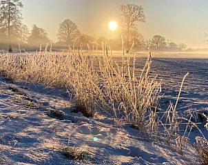 Unterkunft 532226 - Ferienhaus Salland - Huisje in Hellendoorn