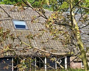 Dak van het vakantiehuis in Hellendoorn omgeven door groene natuur in Salland, Overijssel, ideaal voor een ontspannen verblijf.