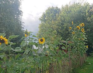 Unterkunft 532234 - Ferienhaus Salland - Huisje in Hellendoorn