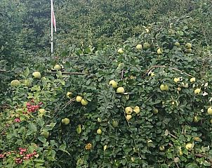 Unterkunft 532234 - Ferienhaus Salland - Huisje in Hellendoorn