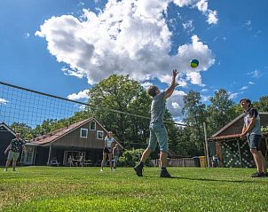 Gezellig volleyballen bij Huisje in Hellendoorn, vakantiehuis in Overijssel.