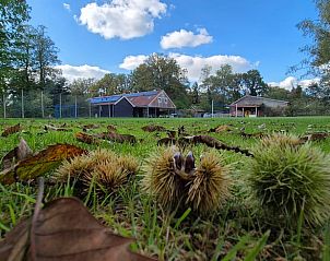 Natuurlijke omgeving van Huisje in Hellendoorn, vakantiehuis in Salland.