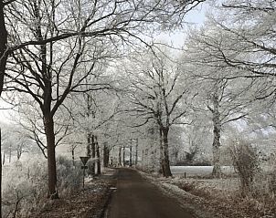 Winterse bomenlaan bij Huisje in Hellendoorn, vakantiehuis in Hellendoorn, Salland, Overijssel, omringd door besneeuwde natuur.