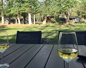 Genieten van wijn op het terras van Huisje in Hellendoorn, Salland