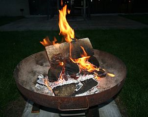 Vuurkorf op het gras bij Huisje in Hellendoorn vakantiehuis, Overijssel