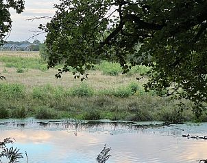 Sereen uitzicht op de natuur vanuit Vakantiehuis in Hellendoorn in Salland, Overijssel.