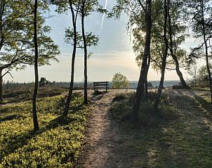 Verblijf 533215 - Vakantiewoning Salland - Park Haarle