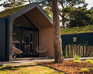 Unterkunft 533218 - Ferienhaus Salland - Vakantiehuis in Haarle