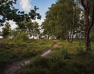 Unterkunft 533218 - Ferienhaus Salland - Vakantiehuis in Haarle