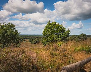 Unterkunft 533218 - Ferienhaus Salland - Vakantiehuis in Haarle