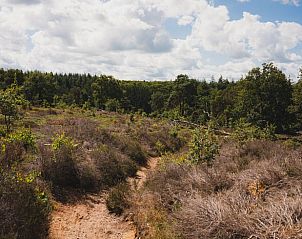 Unterkunft 533218 - Ferienhaus Salland - Vakantiehuis in Haarle