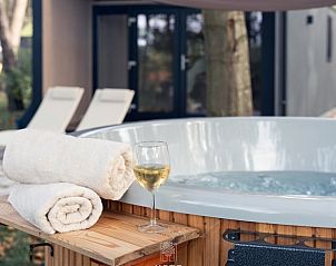 Guest house 533223 - Holiday property Salland - Vakantiehuis in Haarle/Hellendoorn