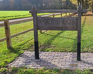 Unterkunft 533226 - Ferienhaus Salland - Vakantiehuis in Haarle