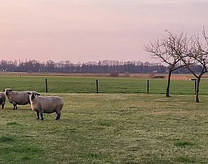 Unterkunft 533226 - Ferienhaus Salland - Vakantiehuis in Haarle