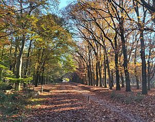 Unterkunft 533226 - Ferienhaus Salland - Vakantiehuis in Haarle