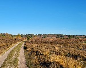 Unterkunft 533226 - Ferienhaus Salland - Vakantiehuis in Haarle