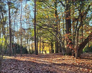 Unterkunft 533226 - Ferienhaus Salland - Vakantiehuis in Haarle