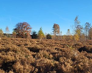 Unterkunft 533226 - Ferienhaus Salland - Vakantiehuis in Haarle
