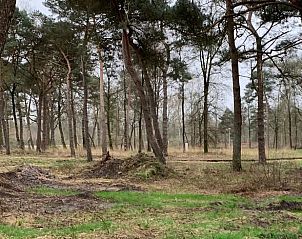 Guest house 533227 - Holiday property Salland - Vakantiehuis in Haarle