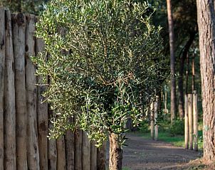 Guest house 533227 - Holiday property Salland - Vakantiehuis in Haarle