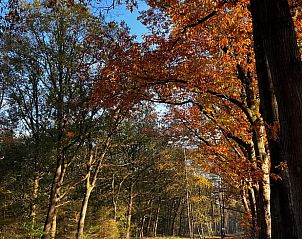 Unterkunft 533238 - Ferienhaus Salland - Huisje in Haarle