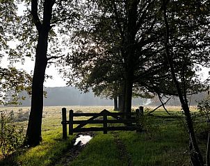 Unterkunft 533238 - Ferienhaus Salland - Huisje in Haarle