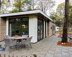 Unterkunft 533262 - Ferienhaus Salland - Vakantiehuisje in Haarle