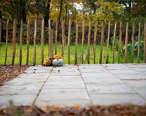 Unterkunft 533262 - Ferienhaus Salland - Vakantiehuisje in Haarle