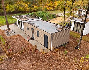 Unterkunft 533262 - Ferienhaus Salland - Vakantiehuisje in Haarle