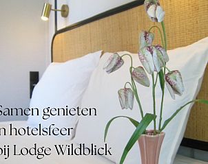 Unterkunft 533276 - Ferienhaus Salland - Boshuisje Lodge Wildblick