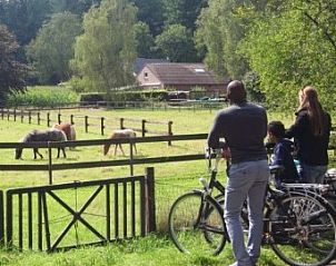 Unterkunft 533276 - Ferienhaus Salland - Boshuisje Lodge Wildblick