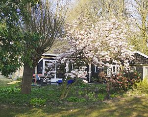 Vakantiehuisje in Wesepe verscholen in het groen, een idyllische locatie in Salland, Overijssel.