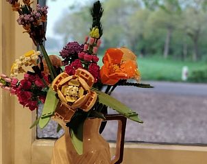 Bloemenpracht in Vakantiehuisje in Wesepe, een kleurrijk accent in Salland, Overijssel.