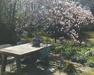 Buitentafel onder bloeiende boom bij Vakantiehuisje in Wesepe, sfeervol dineren in Salland, Overijssel.