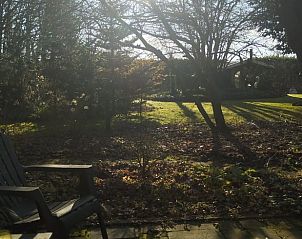 Zonovergoten tuin bij Vakantiehuisje in Wesepe, genieten van de natuur in Salland, Overijssel.