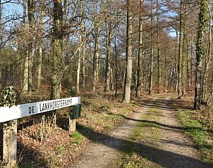 Ingangspad naar Huisje in Wesepe, vakantiehuis in Wesepe, Salland, Overijssel te midden van bosrijke omgeving.
