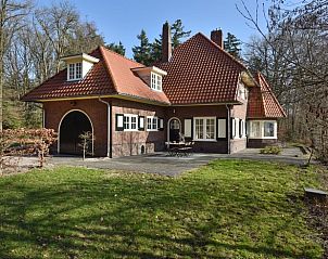 Achtertuin van Huisje in Wesepe, vakantiehuis in Wesepe, Salland, Overijssel met terras en groen.