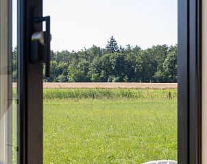 Uitzicht op groene velden vanuit Vakantiehuis in Wesepe, Salland, Overijssel