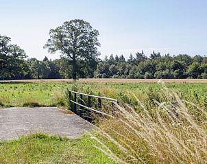 Rustiek bruggetje in de omgeving van Vakantiehuis in Wesepe, Salland, Overijssel