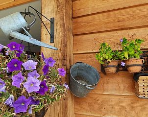 Unterkunft 533306 - Ferienhaus Salland - Vakantiehuis in Wesepe