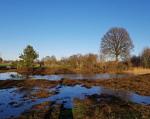 Unterkunft 533306 - Ferienhaus Salland - Vakantiehuis in Wesepe