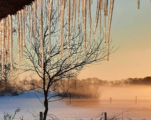Unterkunft 533306 - Ferienhaus Salland - Vakantiehuis in Wesepe