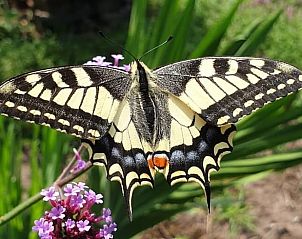 Unterkunft 533306 - Ferienhaus Salland - Vakantiehuis in Wesepe